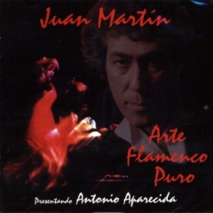 JUAN MARTIN - Arte Flamenco Puro (CD)